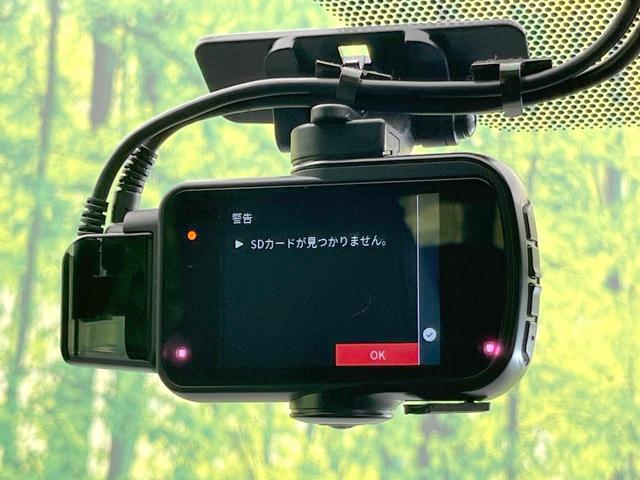23753244_carP_l_13.jpg
