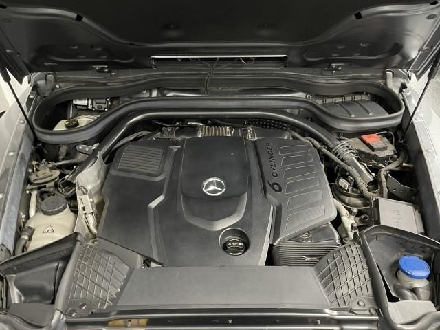 25096877_carP_l_17.jpg