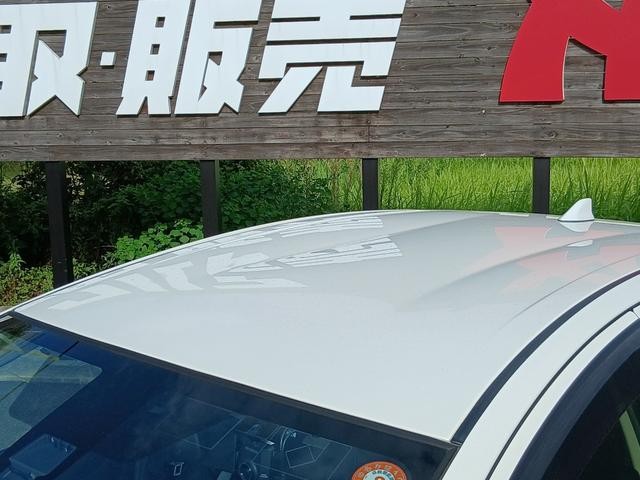 0204541A30260904W00118.jpg