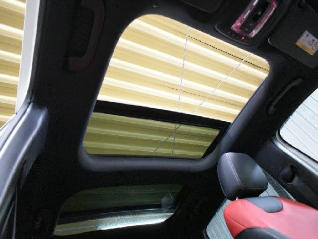 25516953_carP_l_4.jpg