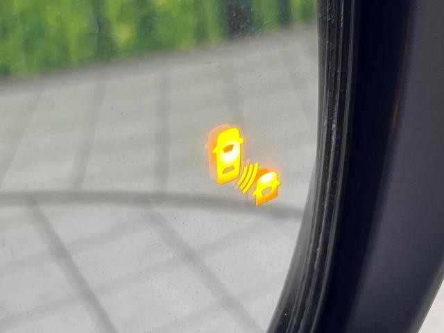 25262784_carP_l_10.jpg