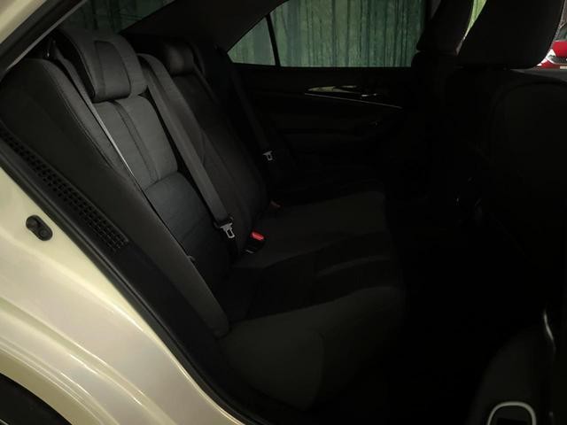 25694007_carP_l_9.jpg