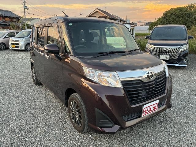 25995419_carP_l_4.jpg