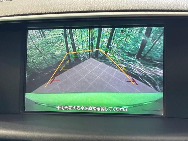 25983490_carP_l_10.jpg