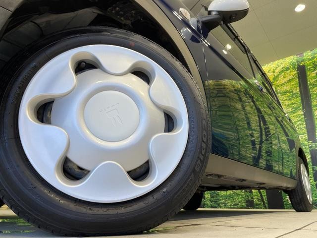 25983456_carP_l_7.jpg