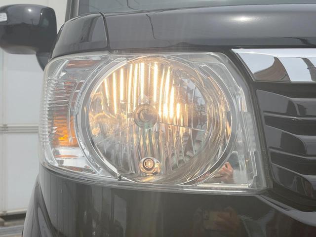 24746847_carP_l_6.jpg
