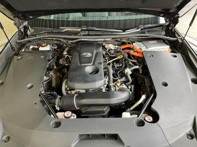 24029573_carP_l_18.jpg