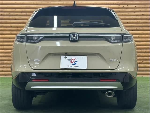 25565727_carP_l_11.jpg