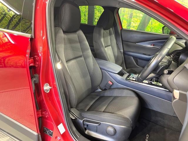 25694060_carP_l_17.jpg