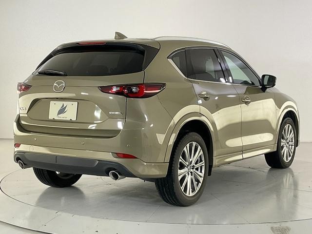 26401498_carP_l_14.jpg