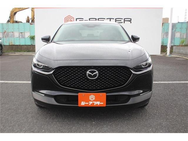 24596519_carP_l_2.jpg