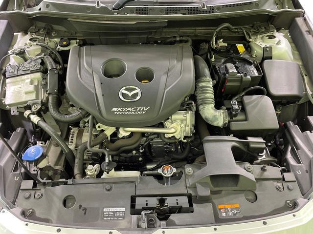 24521754_carP_l_16.jpg