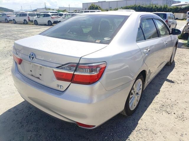 25537685_carP_l_15.jpg