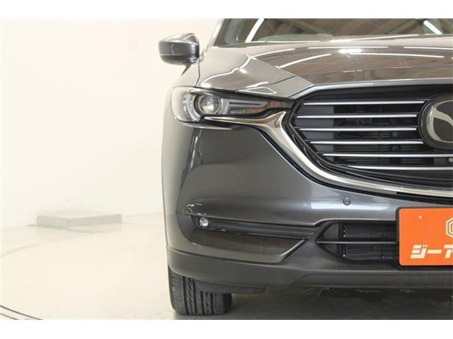 25997220_carP_l_11.jpg