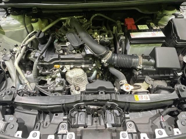 25694074_carP_l_18.jpg
