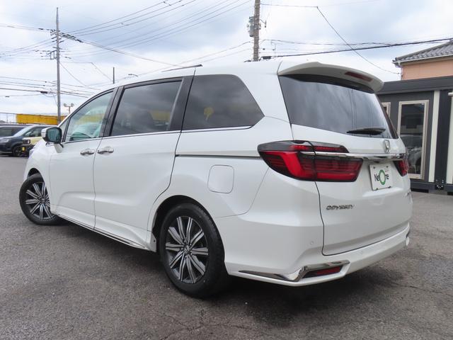 0541379A30260617W00115.jpg