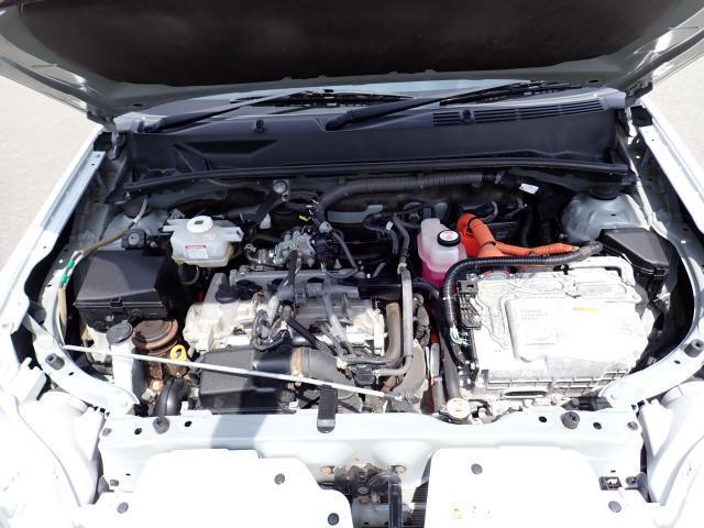 25041611_carP_l_17.jpg