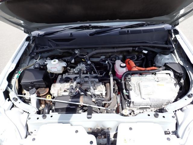 25041611_carP_l_17.jpg