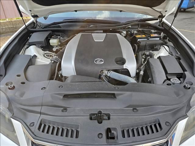 25997391_carP_l_8.jpg