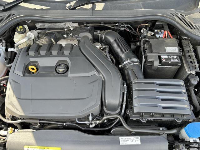 24660007_carP_l_12.jpg