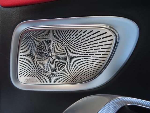 25403998_carP_l_13.jpg