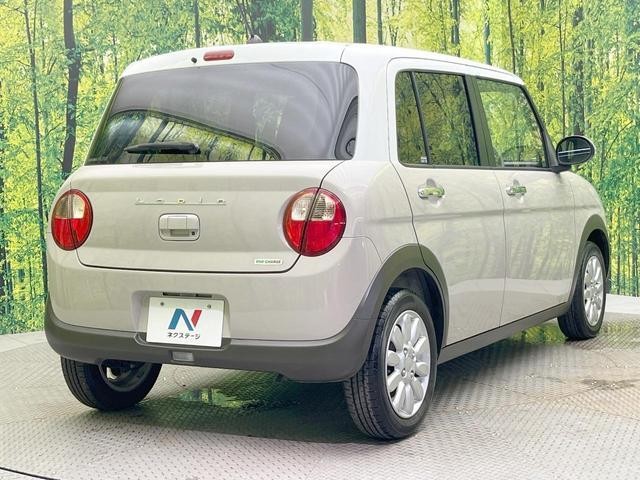 25694268_carP_l_12.jpg