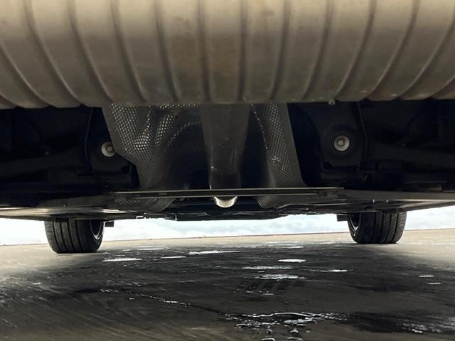 26401898_carP_l_20.jpg