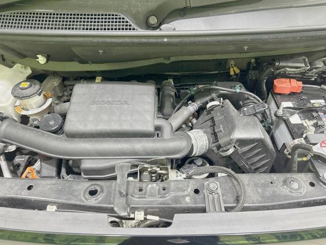 26002691_carP_l_16.jpg