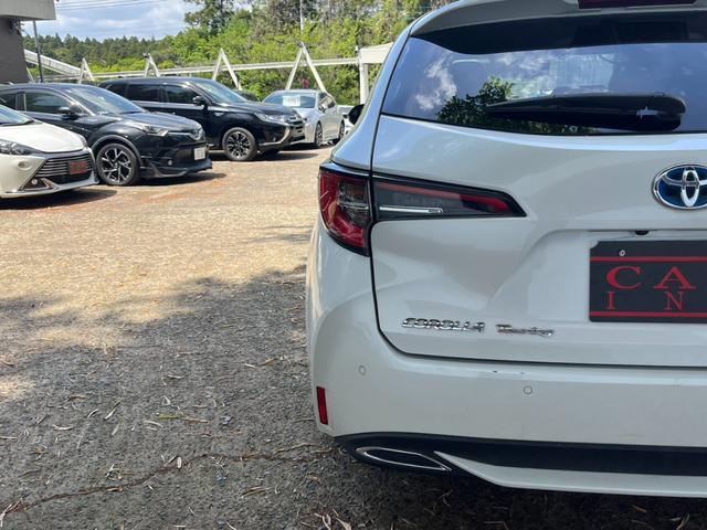 23477397_carP_l_7.jpg