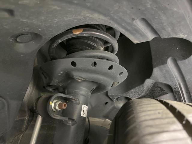 24029690_carP_l_20.jpg