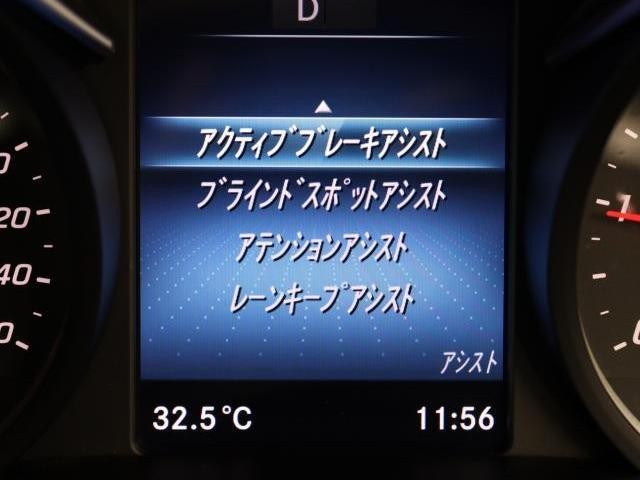 26002132_carP_l_7.jpg