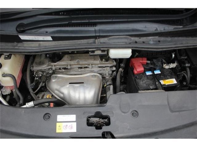 26395030_carP_l_20.jpg