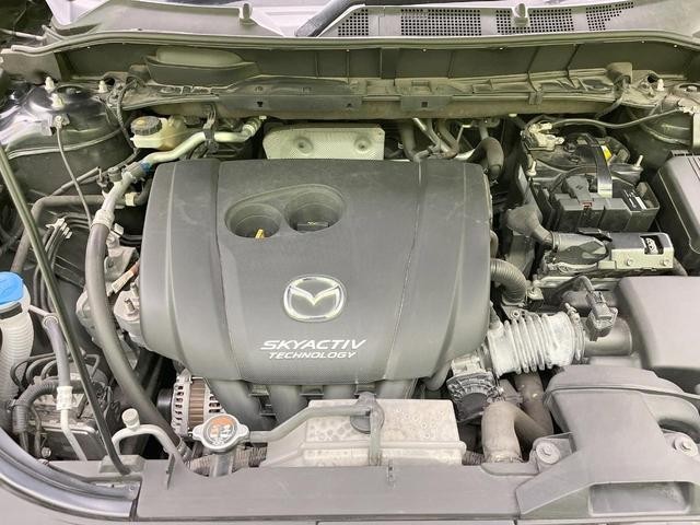 26645108_carP_l_16.jpg