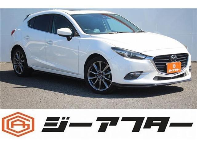 0508496A30260728W00101.jpg