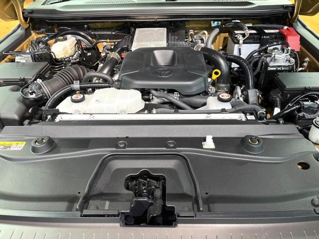 26710488_carP_l_16.jpg