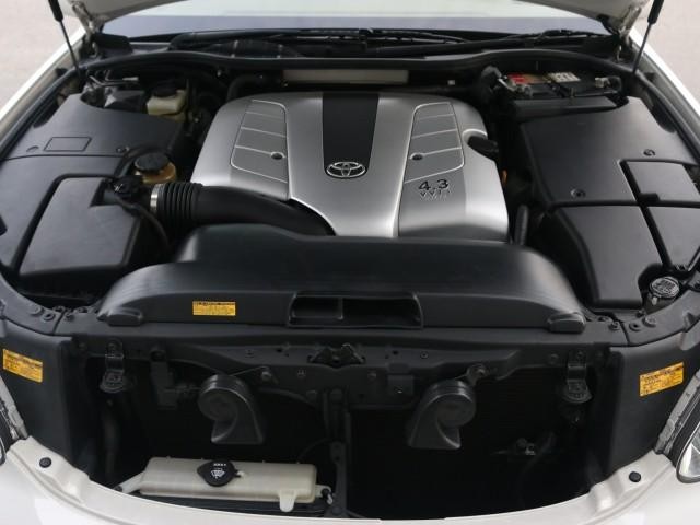 25041536_carP_l_17.jpg