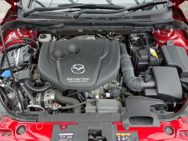 0508329A30260509W00105.jpg