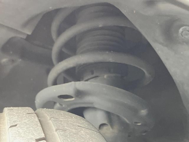 25866065_carP_l_20.jpg