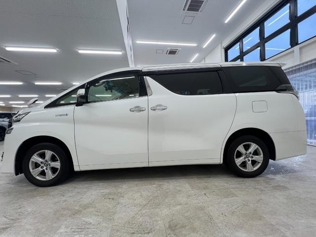 0704780A30260626W00112.jpg
