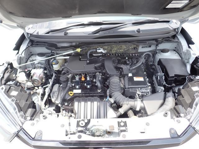 25040971_carP_l_17.jpg
