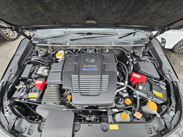 0209006A30260909W00204.jpg