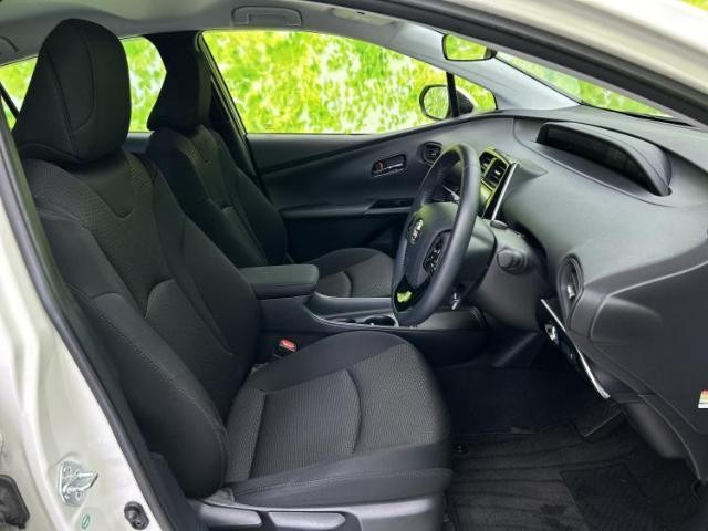 25430962_carP_l_4.jpg