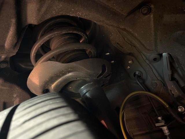 26002169_carP_l_20.jpg