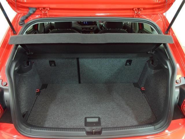 25132444_carP_l_20.jpg
