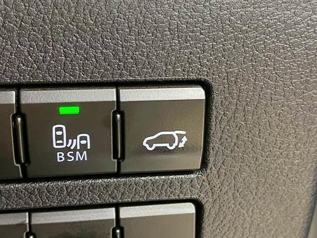 24988676_carP_l_19.jpg