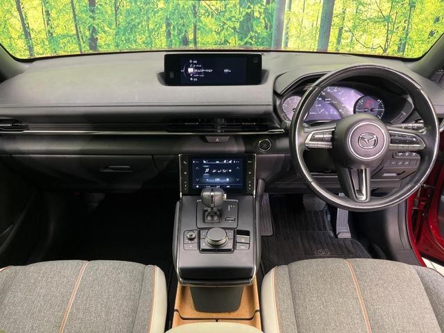 26578020_carP_l_3.jpg