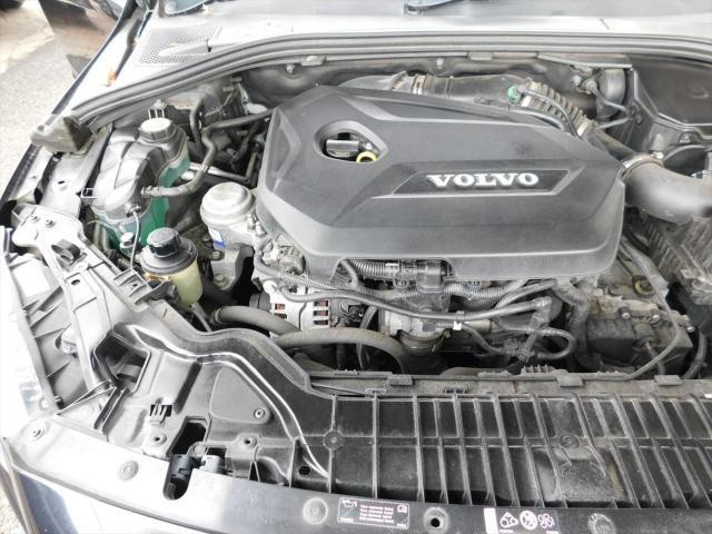 26427283_carP_l_17.jpg