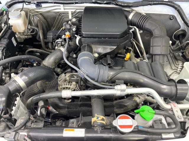 25694513_carP_l_16.jpg
