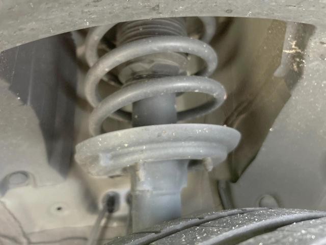 26469040_carP_l_20.jpg