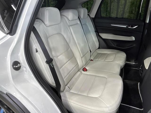 26002709_carP_l_5.jpg